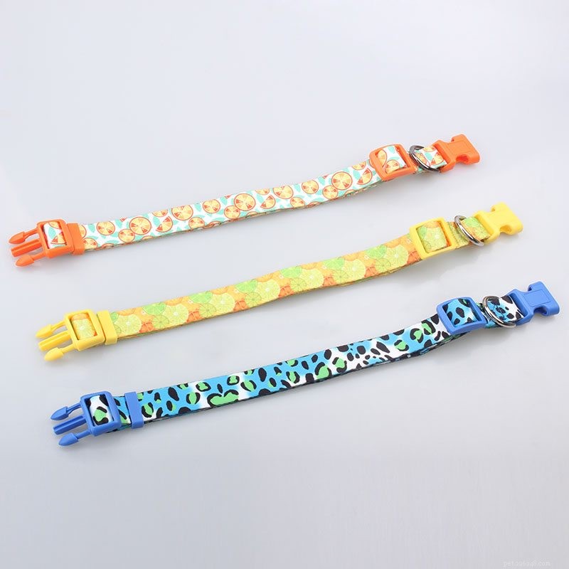 Custom Dog Collars from QQpets: Design Your Own High-Quality Collar Today