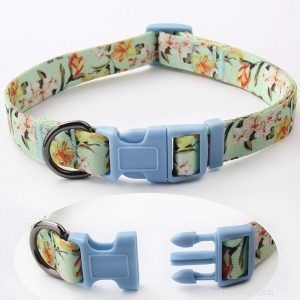 Custom Dog Collars from QQpets: Design Your Own High-Quality Collar Today