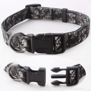 Custom Dog Collars from QQpets: Design Your Own High-Quality Collar Today