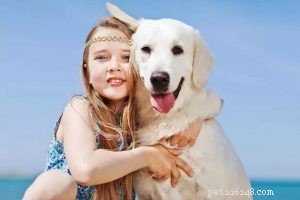 Dog Collars & Harnesses: Why Proper Use Matters – Insights from qqPets