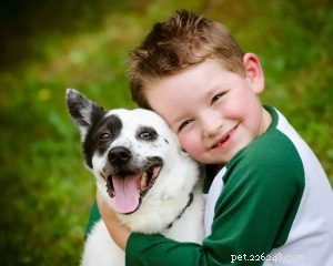 Dog Collars Factory: Why Harnesses Outperform Collars for Your Dog s Safety