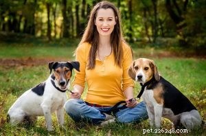Dog Collars Factory: Why Harnesses Outperform Collars for Your Dog s Safety