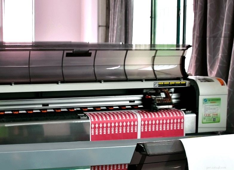How Dog Collars Work: Expert Insights from a Leading Factory