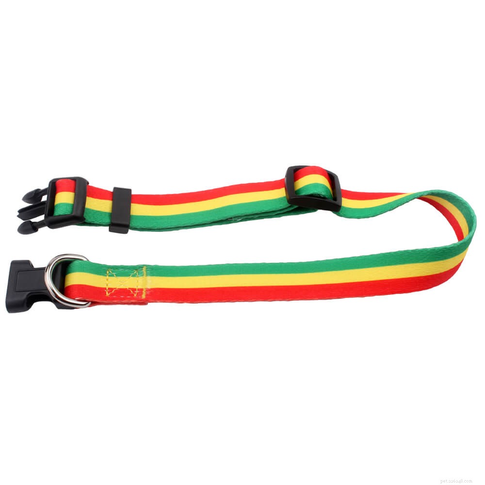How Dog Collars Work: Expert Insights from a Leading Factory