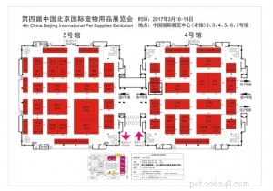 QQpets Showcases Premium Dog Collars at the 4th China Beijing International Pet Supplier Exhibition