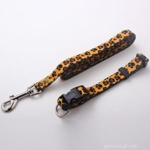 Premium Custom Dog Collars & Leashes – Design Your Own with QQPets