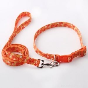 Premium Custom Dog Collars & Leashes – Design Your Own with QQPets