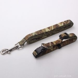 Premium Custom Dog Collars & Leashes – Design Your Own with QQPets