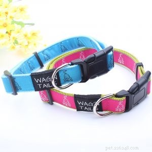Choosing the Best Dog Collars: Expert Tips & Usage Guide | QQPets