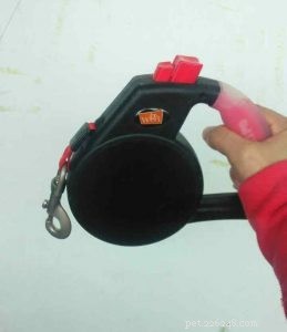Mastering Retractable Dog Leashes: Step-by-Step Video Guide