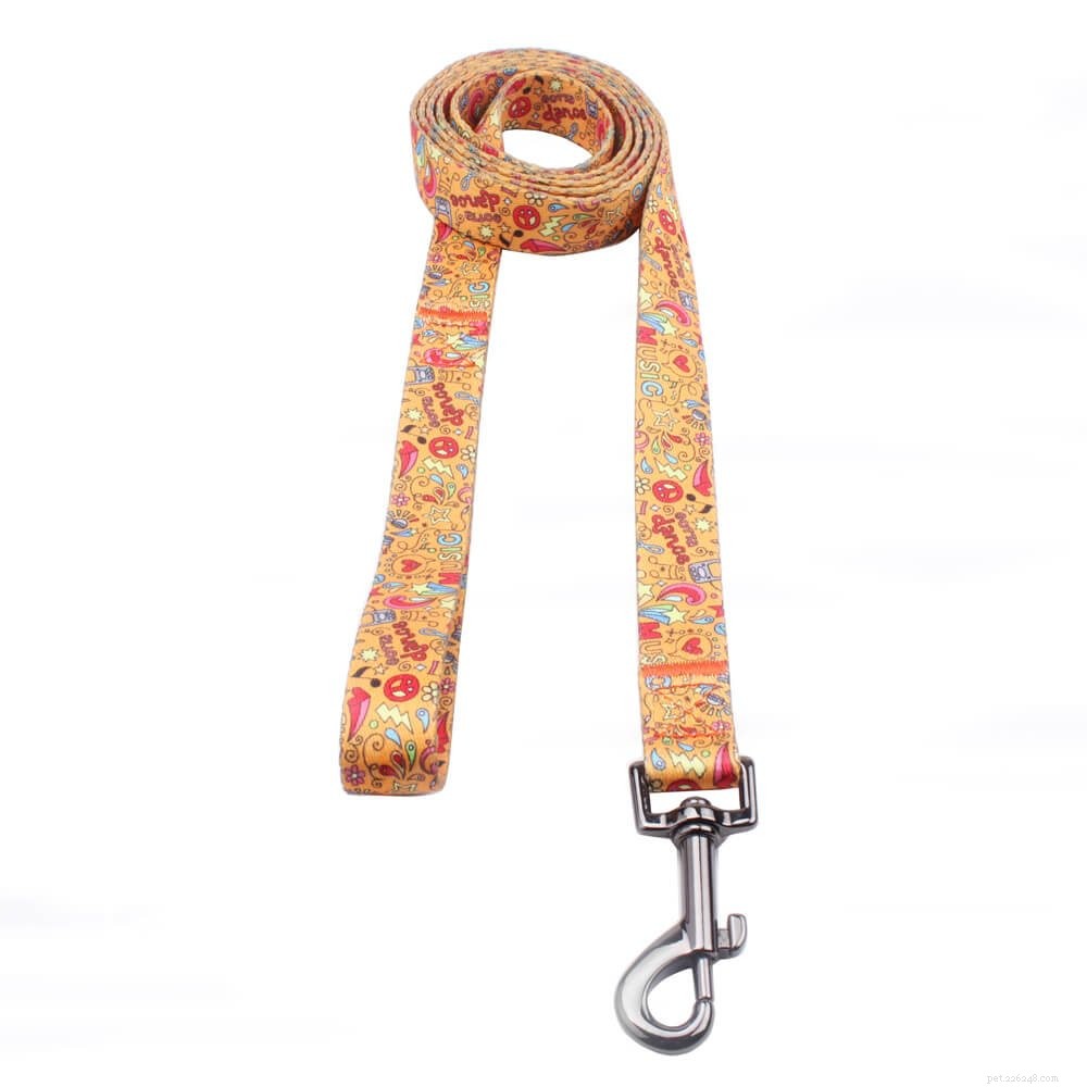 Professional Dog Collar, Harness, and Leash Manufacturer – 10+ Years of Expertise | QQPets