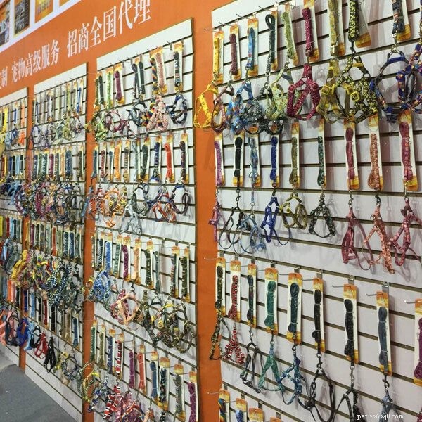 Premium Custom Dog Collars & Leashes – Trusted Supplier from Qianqian Pet Products, CPAE