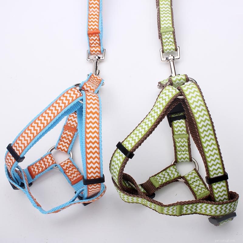 OEM Dog Collars, Leashes & Harnesses – Custom Pet Products Factory