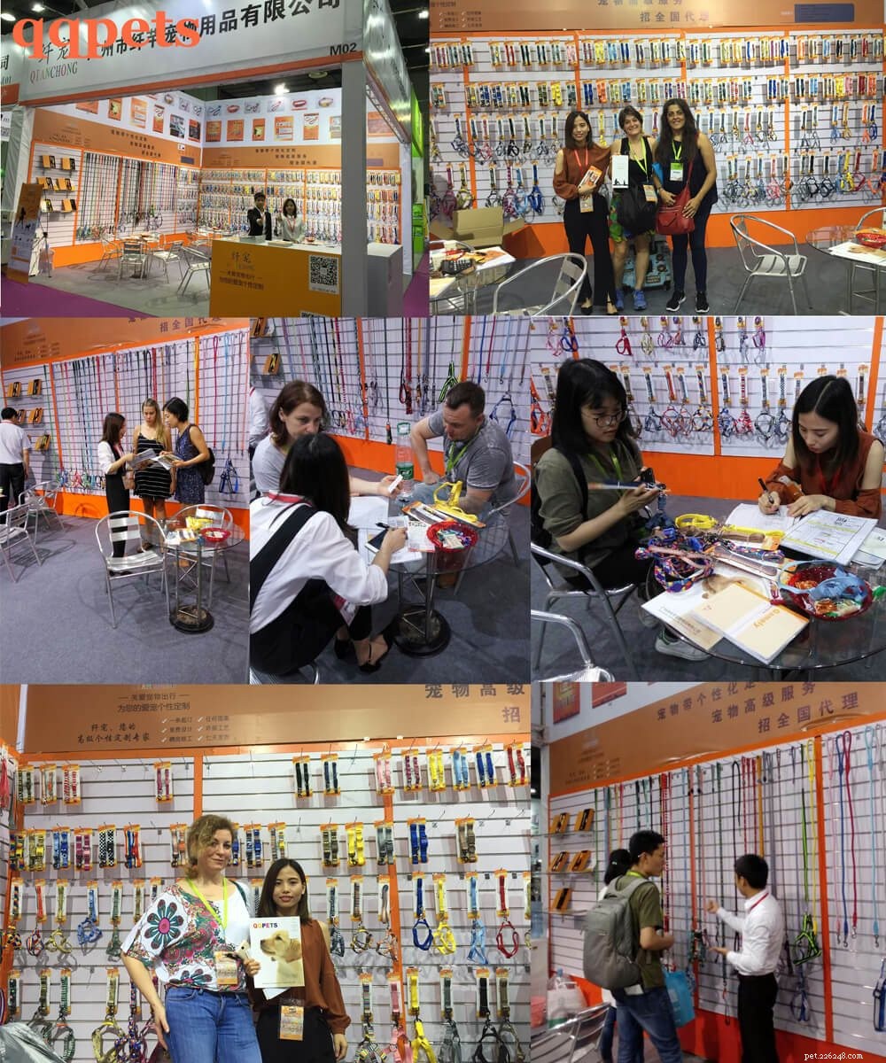 Qianqian Pet: Leading Dog Collar Manufacturer at China Pet Fair 2017