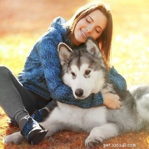 Custom Dog Collars Supplier: Design Your Pet’s Personalized Collar Today