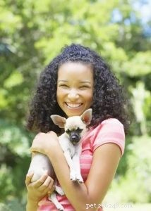 Choosing the Perfect Name for Your Dog: Expert Tips from QQPets