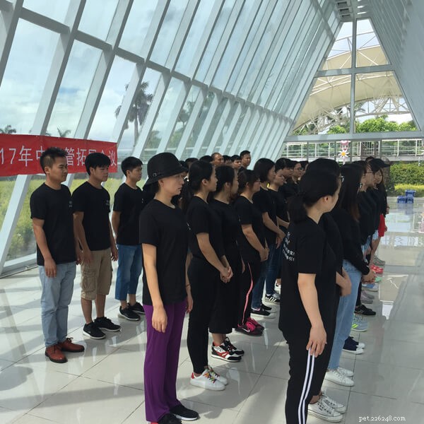 Behind the Scenes: Our Weekend Development Workshop at QianQian Pets Supplies Factory