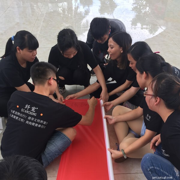 Behind the Scenes: Our Weekend Development Workshop at QianQian Pets Supplies Factory