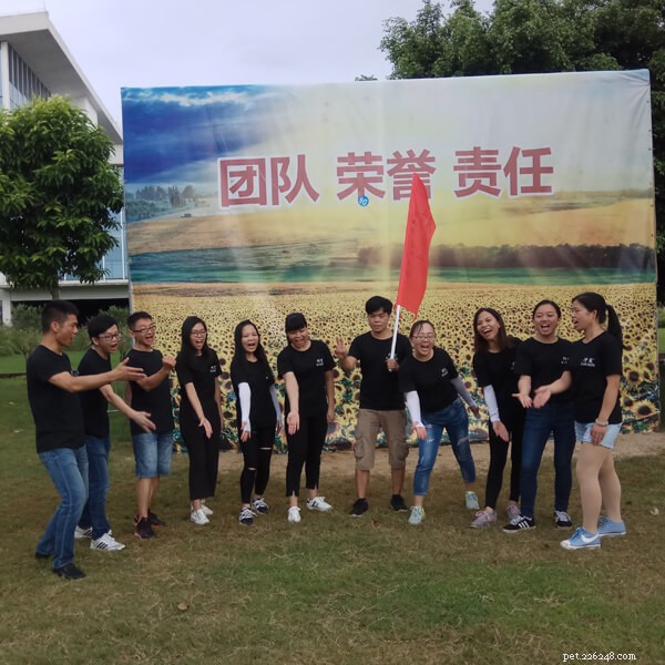 Behind the Scenes: Our Weekend Development Workshop at QianQian Pets Supplies Factory