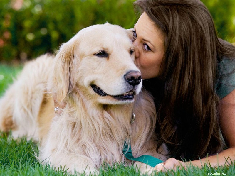 Launch a Profitable Dog Collars, Leashes, and Harness Business with QQPets