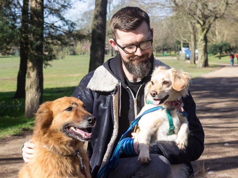 Launch a Profitable Dog Collars, Leashes, and Harness Business with QQPets