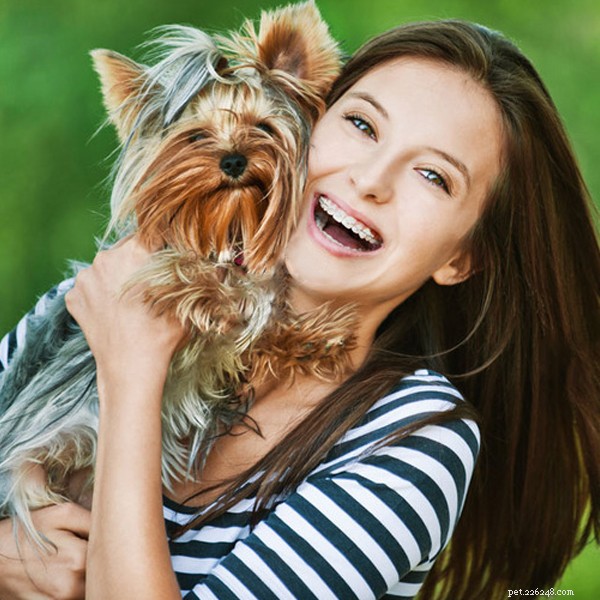 Why Does My Dog Bite Its Collar? Tips to Stop the Behavior