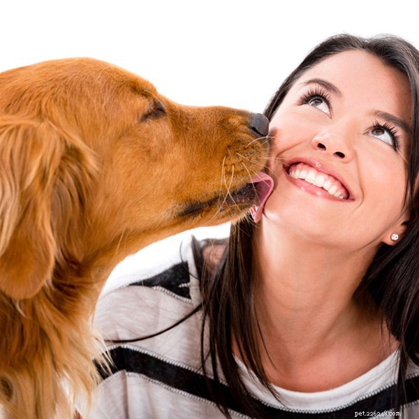 Why Does My Dog Bite Its Collar? Tips to Stop the Behavior