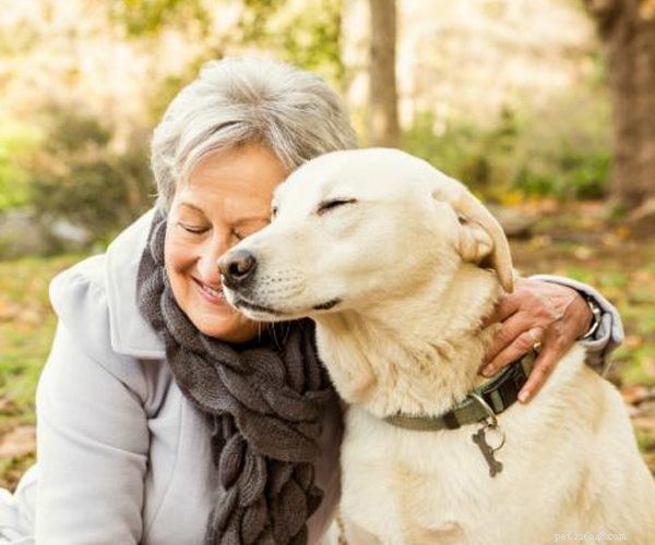 Explore Cutting-Edge Smart Dog Collars & Leashes for Training & Safety