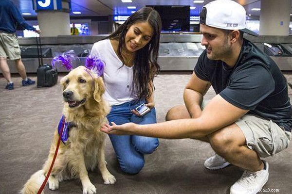 Meet Friendly Dogs While You Wait: A Unique Pet Service at Phoenix Sky Harbor