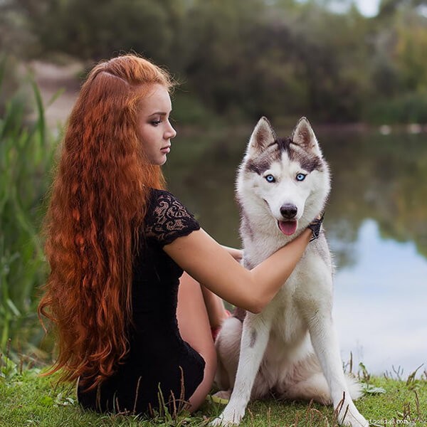 Why Adopt a Homeless Dog? A Guide to Responsible Pet Ownership