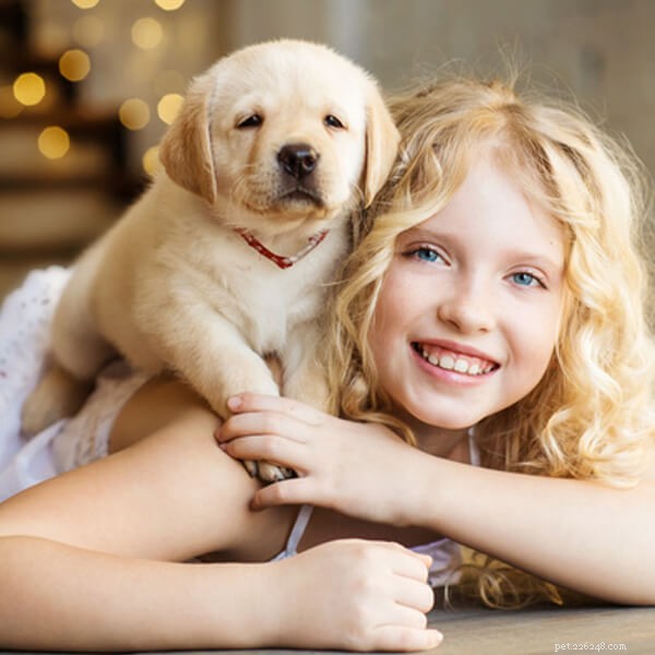 Choosing the Perfect Family Dog: Expert Tips on the Best Breeds