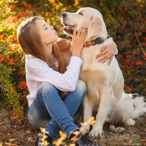 Choosing the Perfect Family Dog: Expert Tips on the Best Breeds