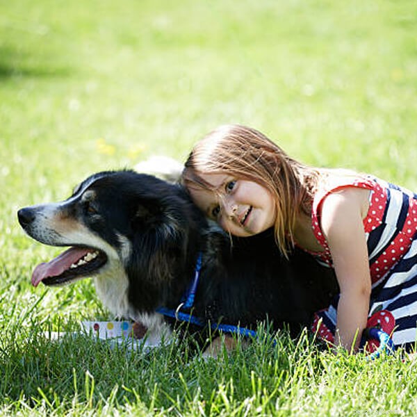 Choosing the Perfect Family Dog: Expert Tips on the Best Breeds