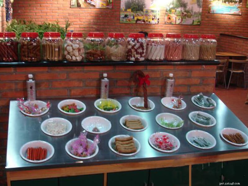 Enjoy Dining With Your Pet at China’s Premier Pet-Themed Restaurants
