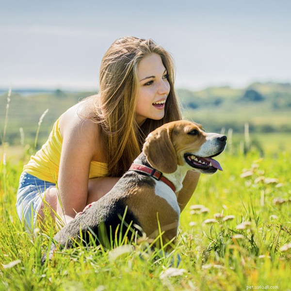 Heartwarming Dog Movies That Will Touch Your Soul