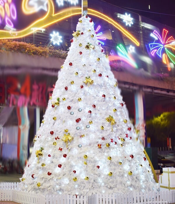 Unveiling Stunning Christmas Trees You Haven t Seen Before