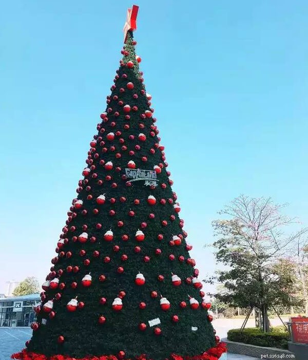 Unveiling Stunning Christmas Trees You Haven t Seen Before