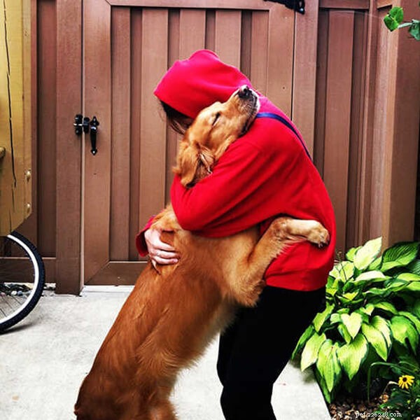 Why Some Dogs Dislike Hugging: Understanding Canine Body Language