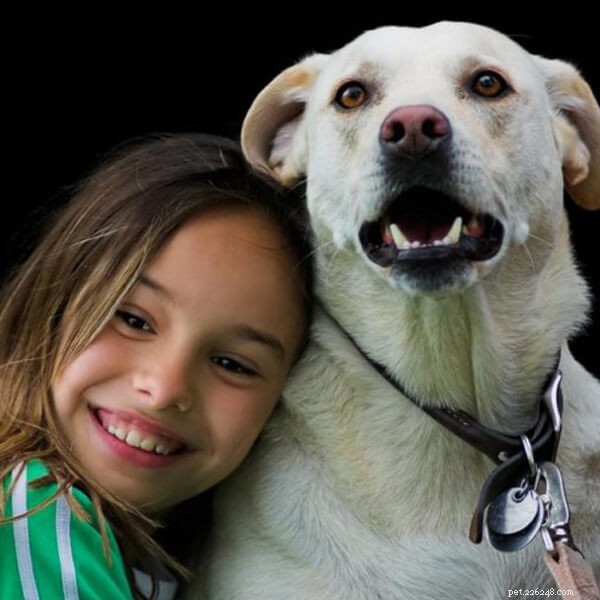 Why Some Dogs Dislike Hugging: Understanding Canine Body Language