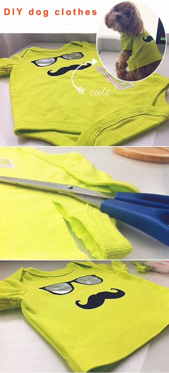 Create Stylish Dog Collars & Clothes: A DIY Guide for Pet Owners