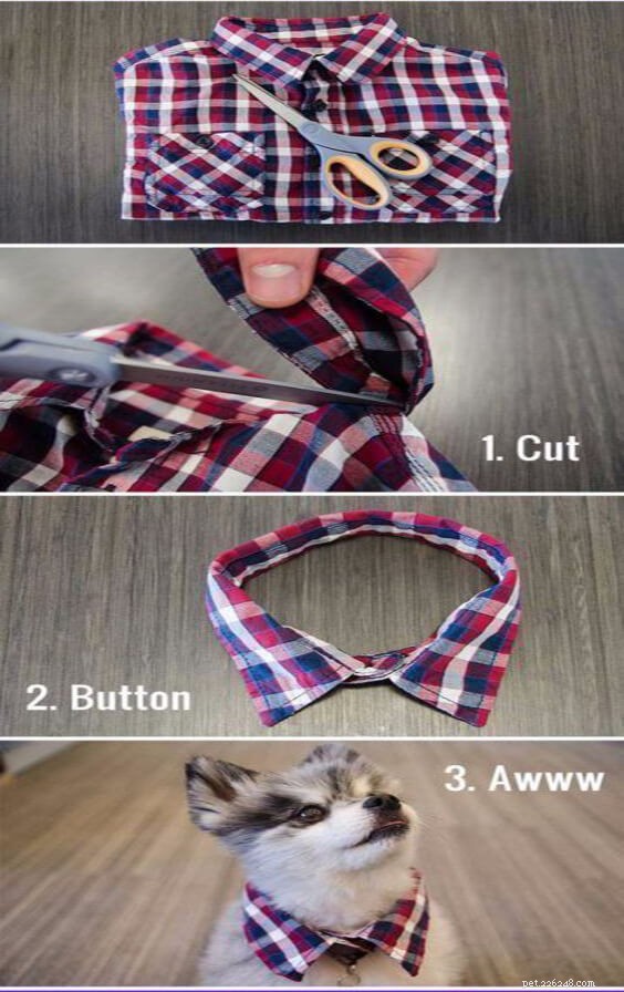 Create Stylish Dog Collars & Clothes: A DIY Guide for Pet Owners