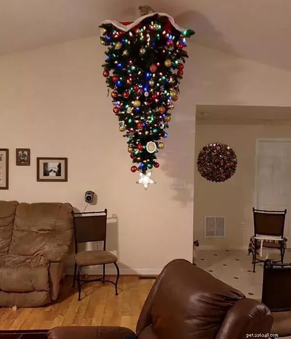Keep Your Pet Safe: How to Keep Them Away from the Christmas Tree