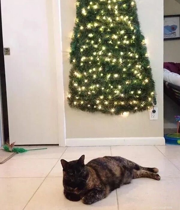 Keep Your Pet Safe: How to Keep Them Away from the Christmas Tree