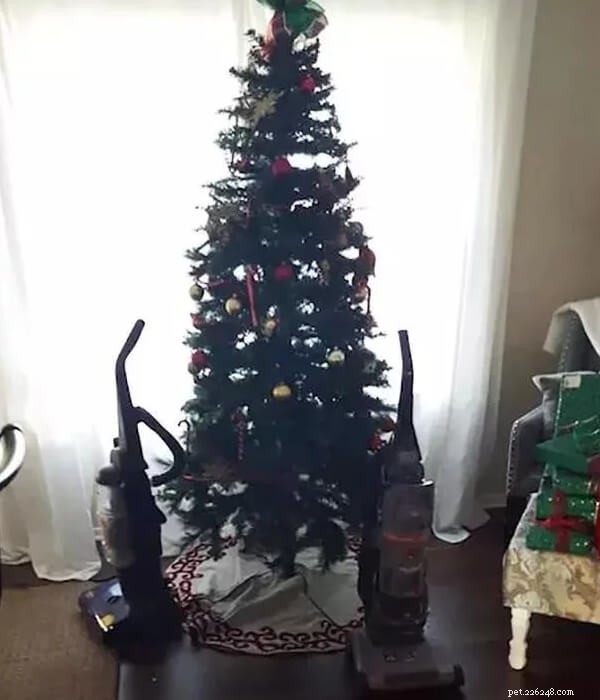Keep Your Pet Safe: How to Keep Them Away from the Christmas Tree
