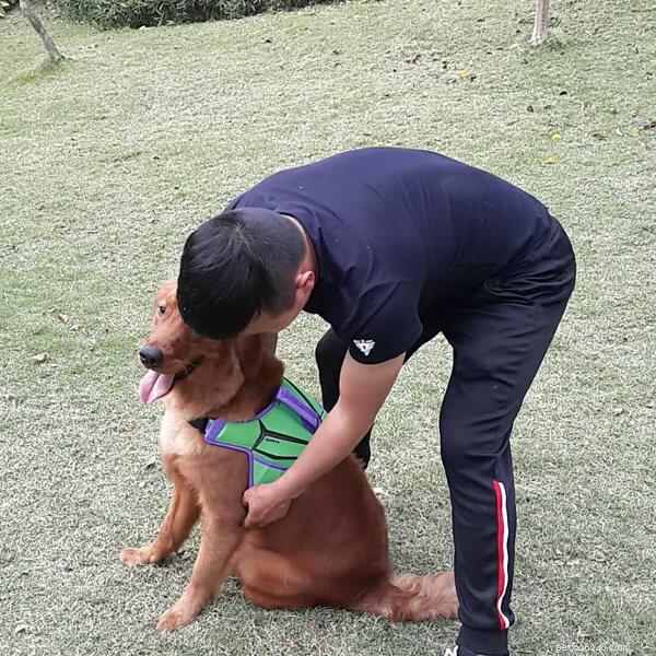 Weekend Dog Walks: Relax and Play Outdoors with Your Furry Friend