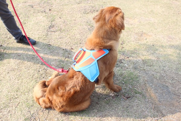Discover the 2018 Eco‑Friendly Dog Harness Vest – Comfortable & Safe for Your Pet
