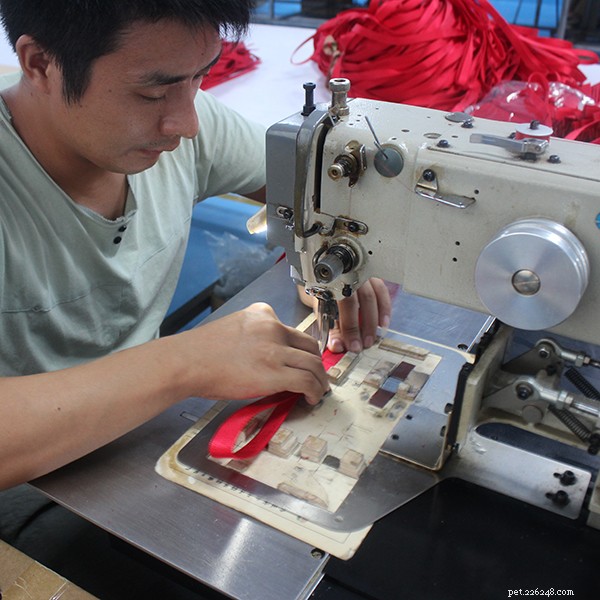QQPETS Expands: Packaging Department Relocates to State‑of‑the‑Art Facility