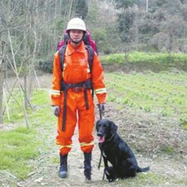 Remembering Tianfu: The Heroic Search and Rescue Dog Who Served Chengdu