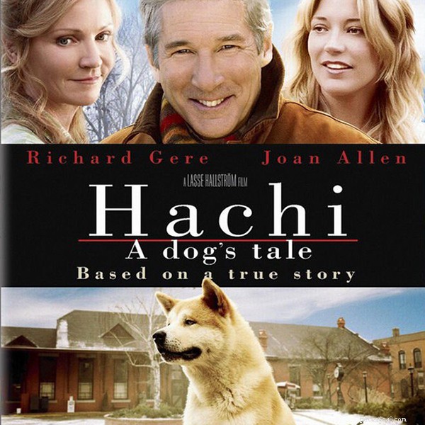 Hachiko: The Heartwarming Story of Loyalty Between a Dog and a Professor