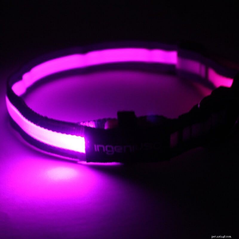Top 10 Benefits of the Latest LED Dog Collars for Safety and Visibility